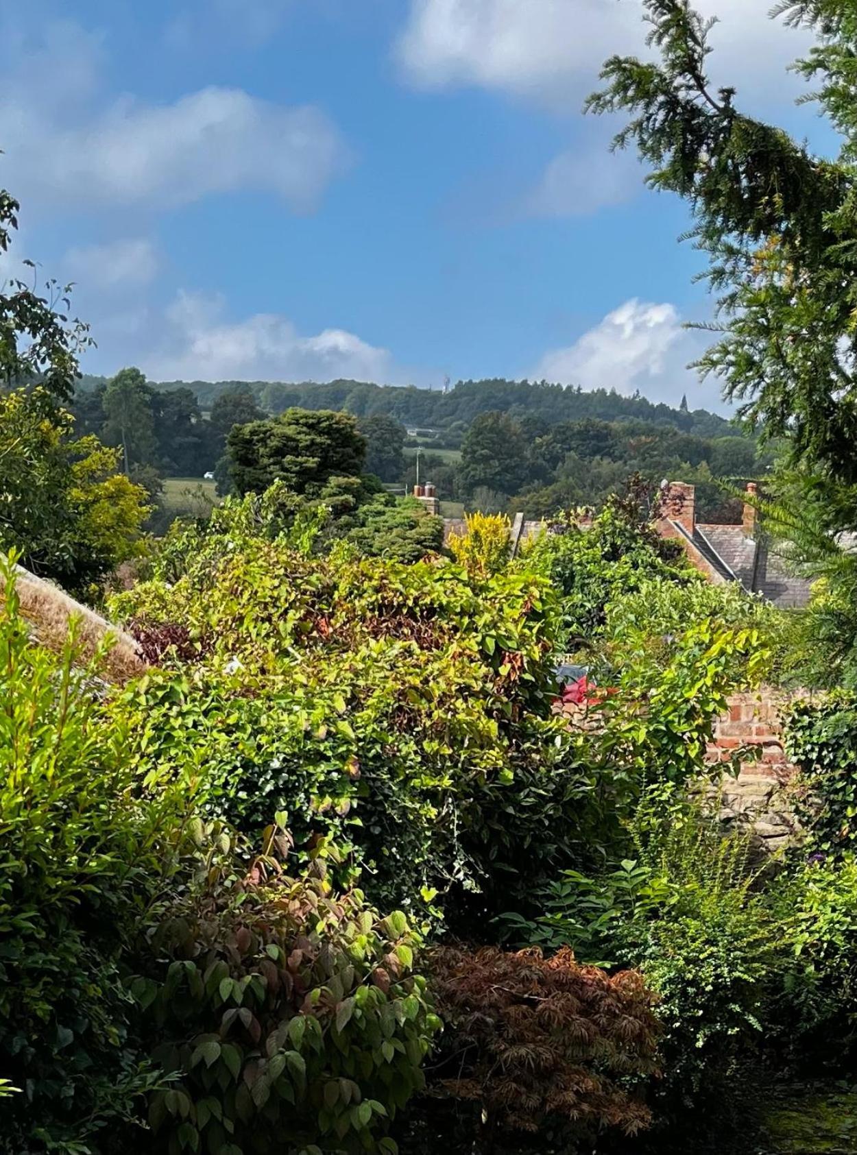 Flower Cottage By Ludlow Castle With Onsite Parking Екстер'єр фото