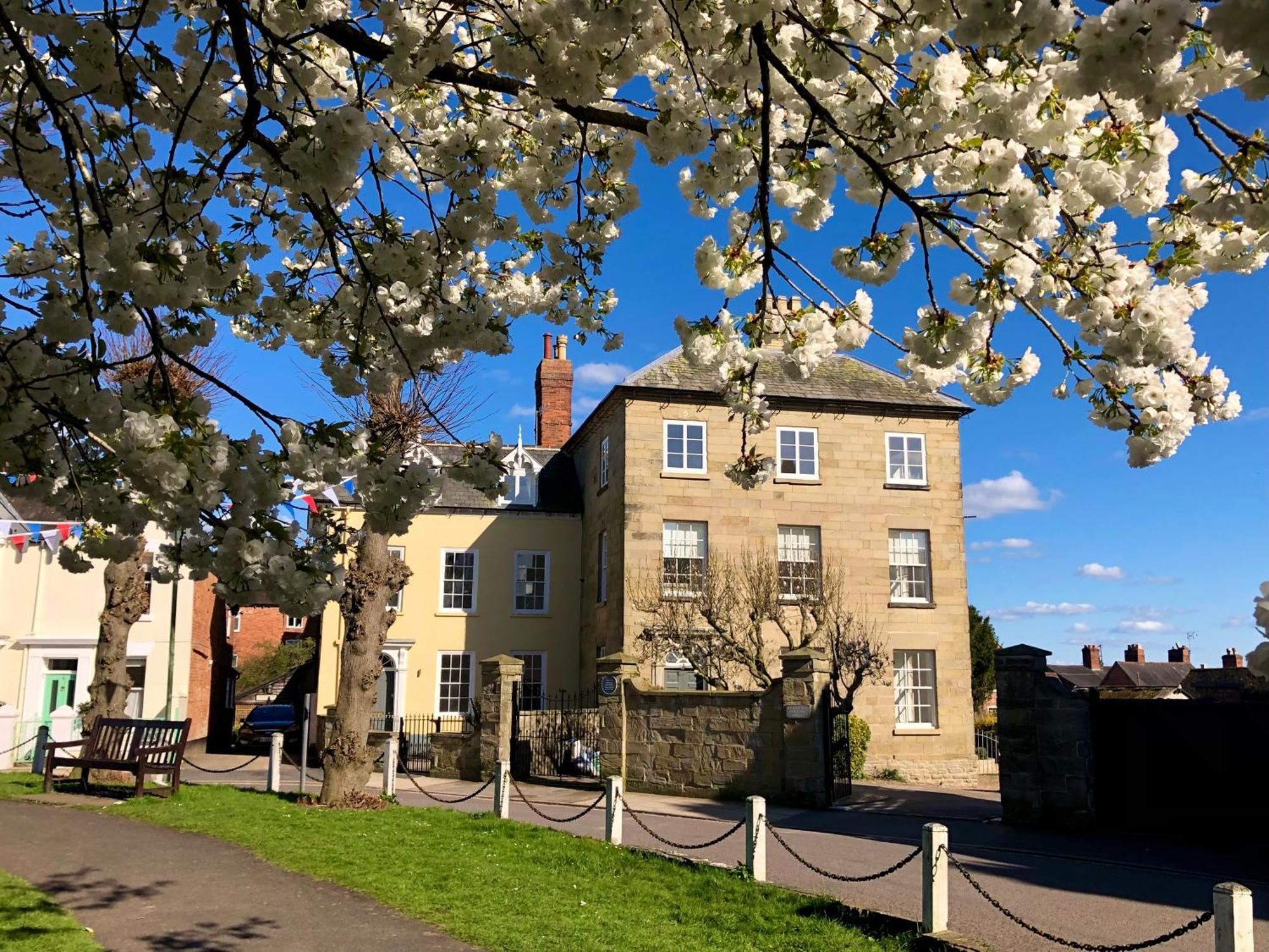 Flower Cottage By Ludlow Castle With Onsite Parking Екстер'єр фото